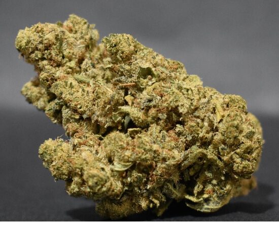 Panama Gold Premium CBD Buds